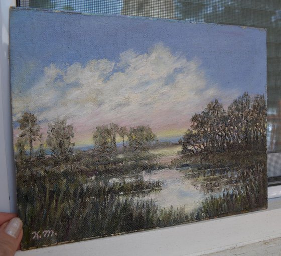 Marsh Sketch # 5 - 8X10 oil