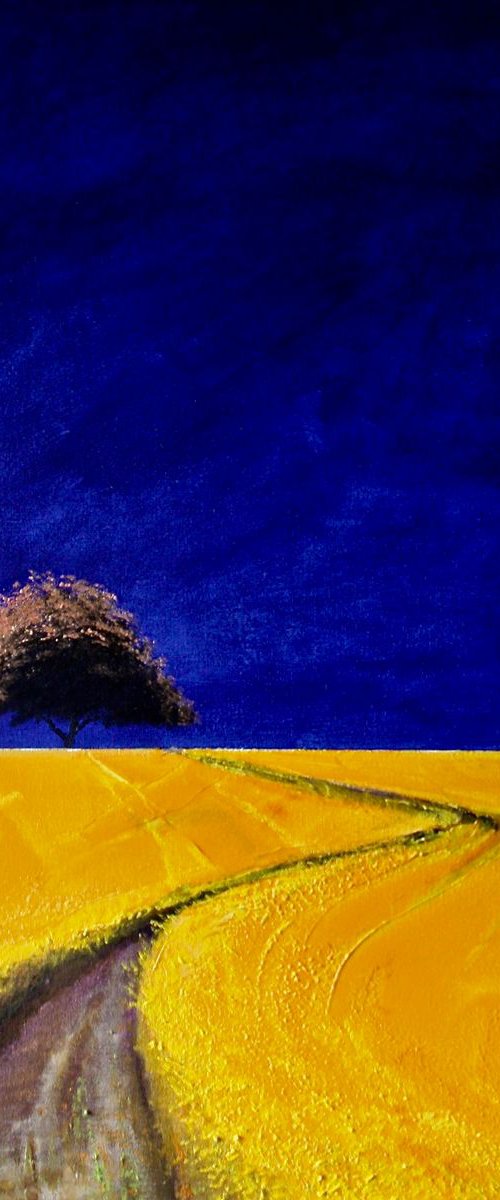 Solaris Dreamfields IX by Simon Jones