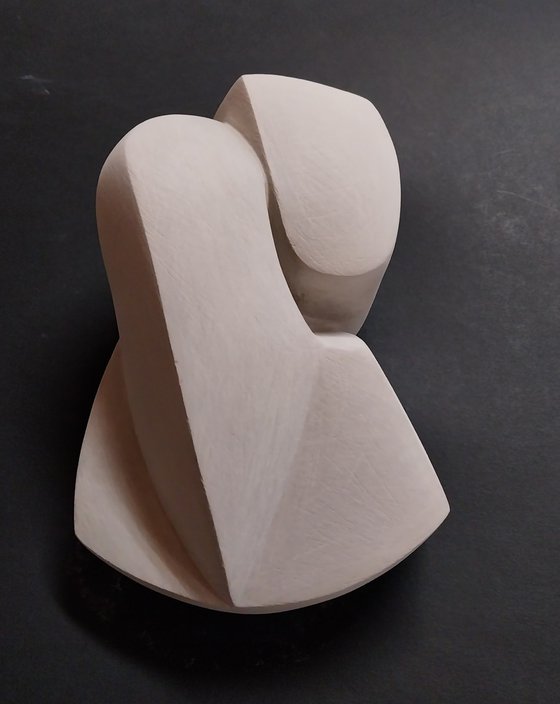 Bird feeding her young.