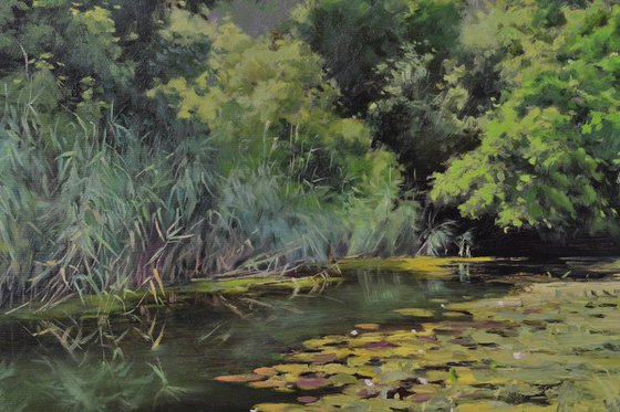 Lilies at noon