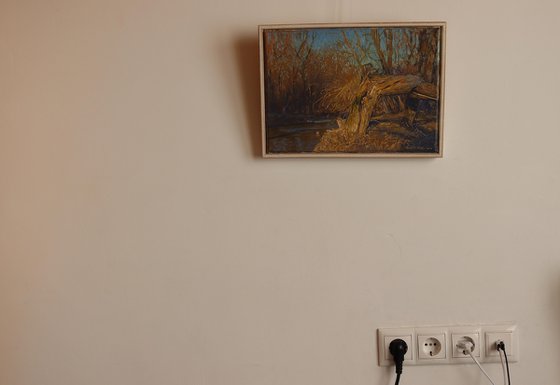 A broken tree near the Likhoborka River