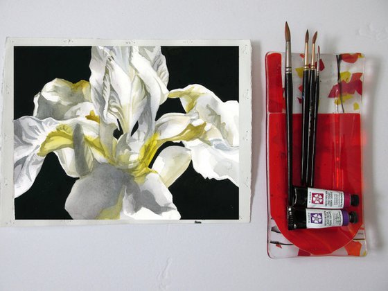 Japanese white iris watercolor