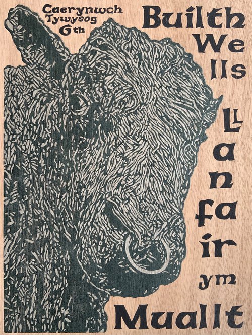 Caerynwch Tywysog 6th - Wood Panel by Paul Rickard