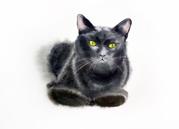 Black Cat Original Watercolor Black Cat Art Artfinder