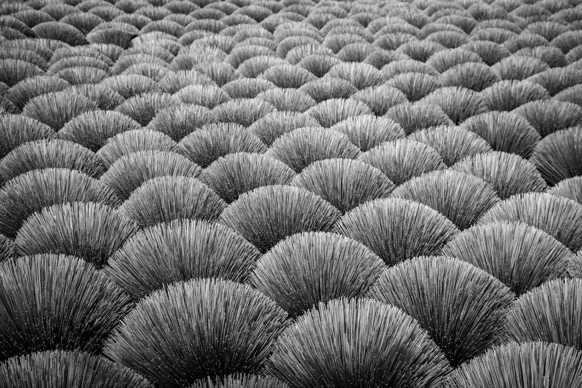 Geometric Abstract Photograph By Serge Horta, 48 X 32", Incense Sticks No.2 (B&W), Original Artwork