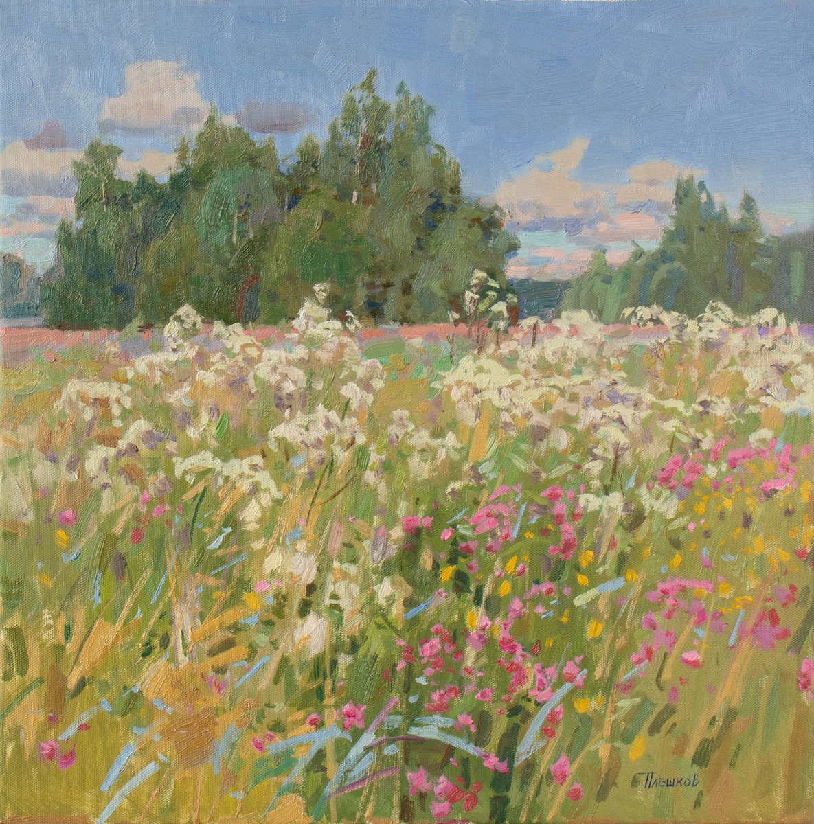 August Grasses by Alexey Pleshkov