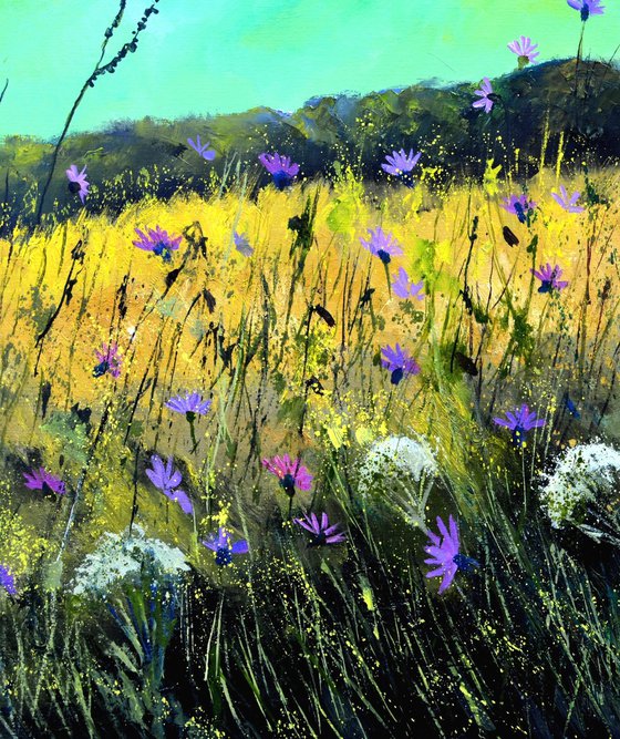 Wild purple cornflowers