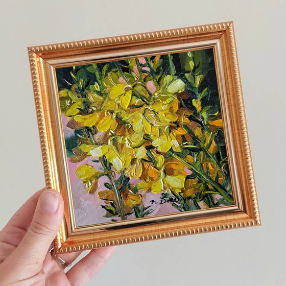 Small oil painting original yellow flower painting 5x5, Scotch broom picture frame floral artwor