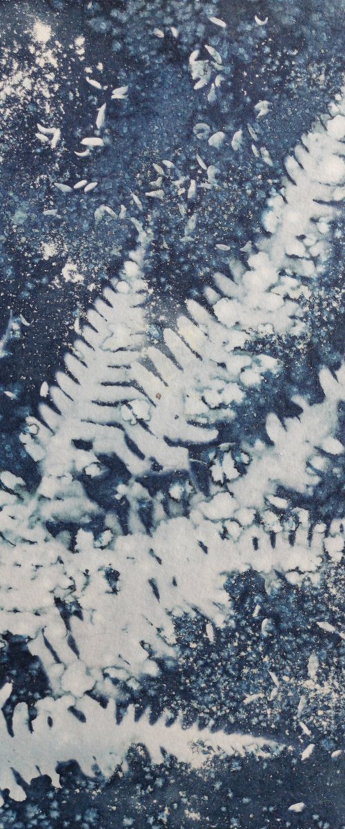 Fern Cyanotype by Paul Nash