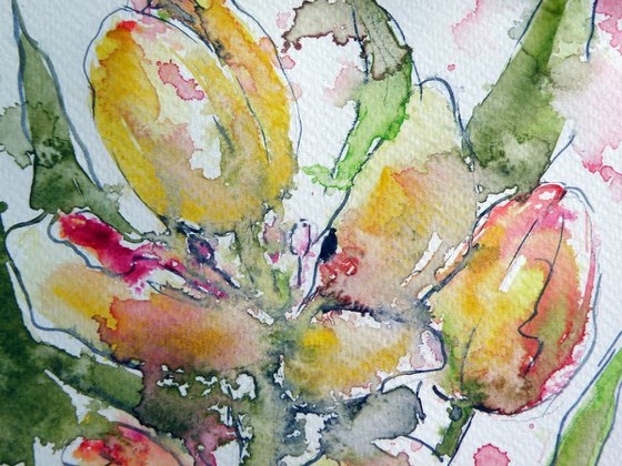 Tulips
