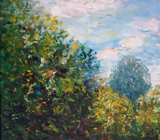 Magical Water Lilies C 1 / Oil