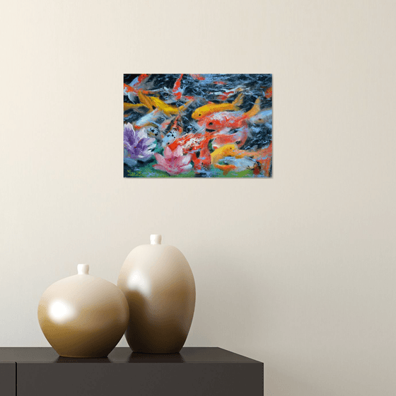 A koi paradise