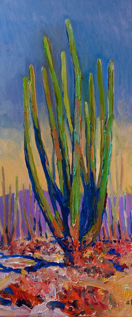 The Old Cactus by Suren Nersisyan