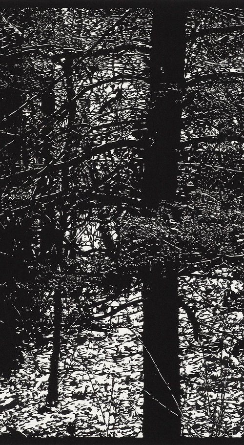 SUSSEX IN WINTER by David Conn
