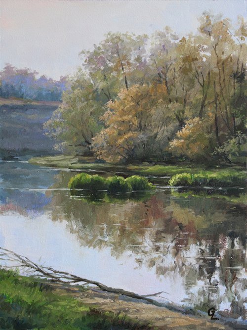 River surface. ORIGINAL OIL PAINTING, GIFT by Linar Ganeev