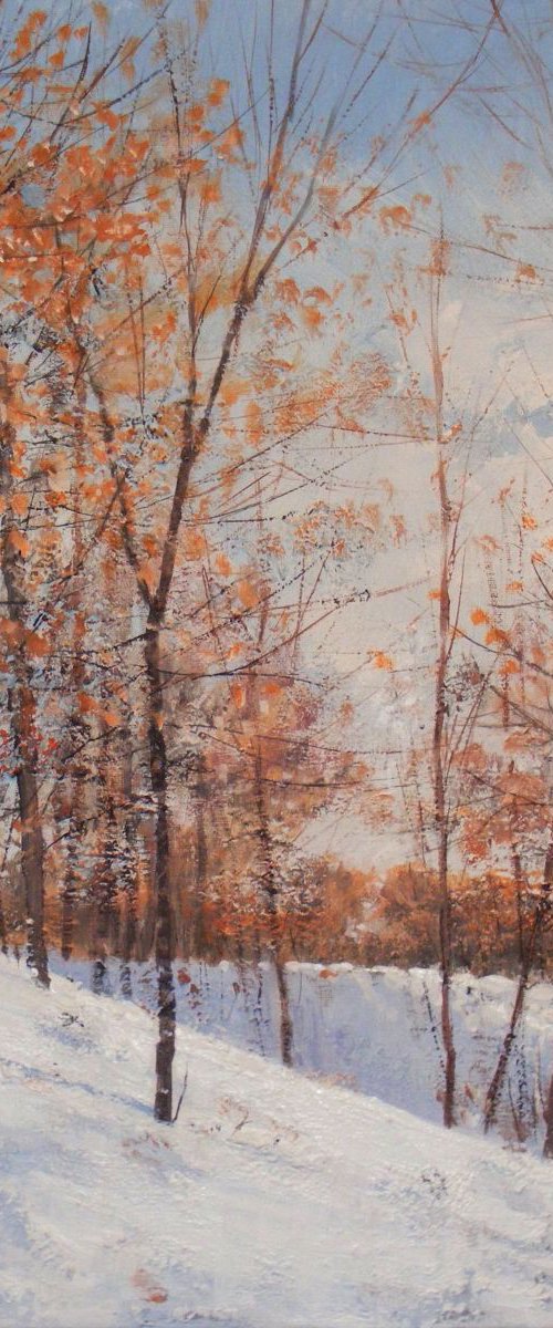 "Four shades of winter-2" by Ivan  Grozdanovski