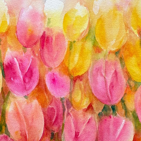 Tulip Symphony