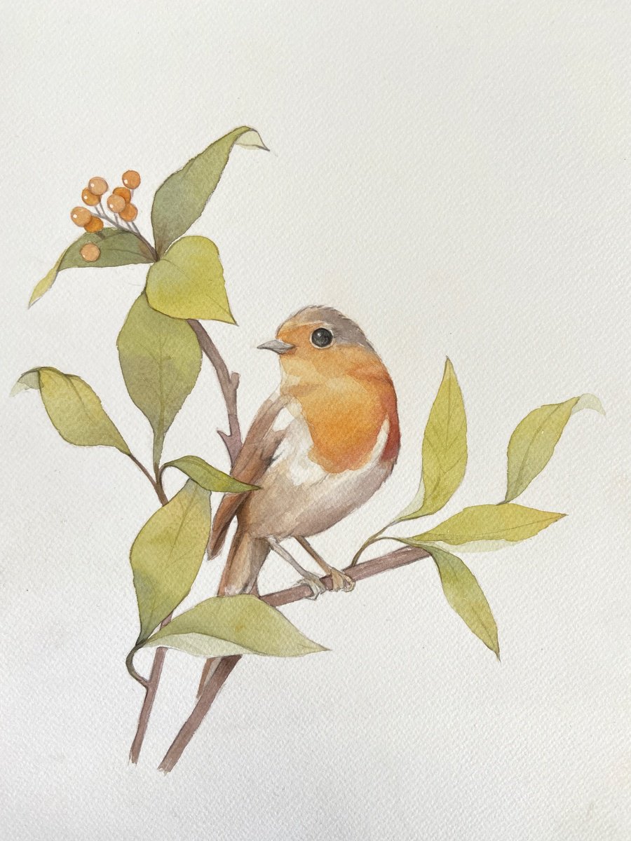 Little robin by Alejandra Paredes