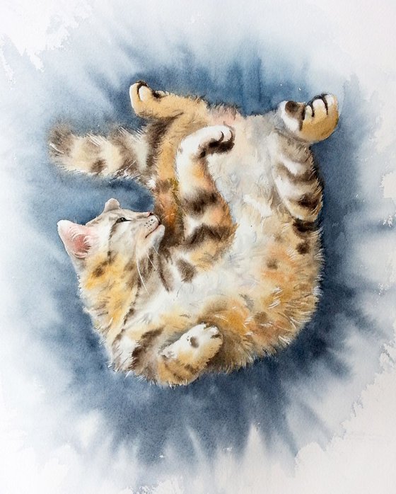 Blissful Cat