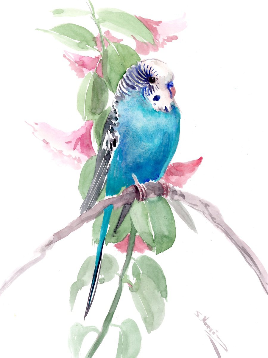 Budgie, Turquoise blue Parakeet painting by Suren Nersisyan