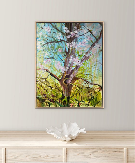 Apple orchard 5