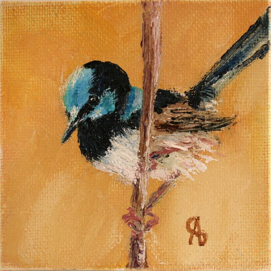 Bird III. Superb Fairywren /  From my a series of mini works BIRDS /  ORIGINAL PAINTING