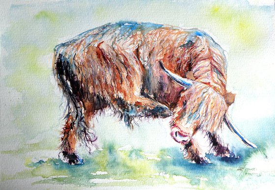 Resting cow