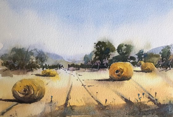 Summer Hay Bales