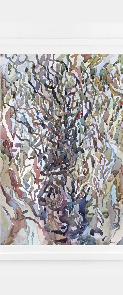 Wide Birch Tree by Tanbelia