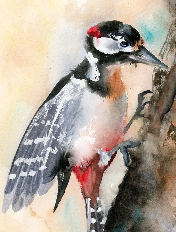 Woodpecker  -  Original Watercolor Painting by Olga Shefranov