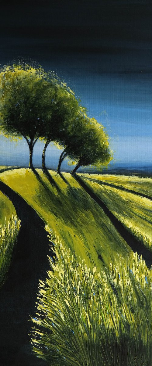 Sunrise brings the light-  Fields and Colors Series by Danijela Dan