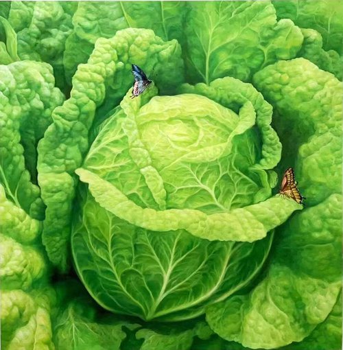 Cabbage c192 by Kunlong Wang