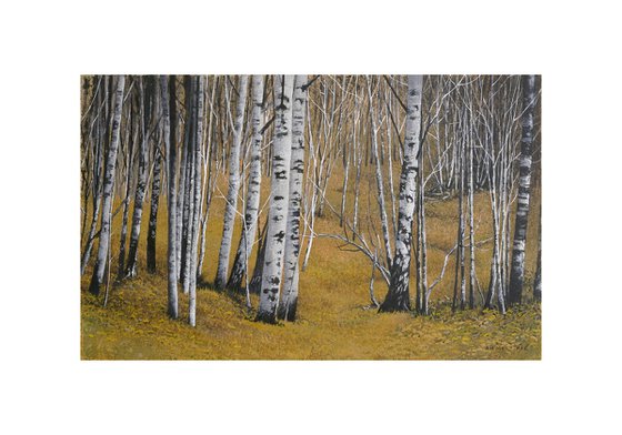 Birch wood