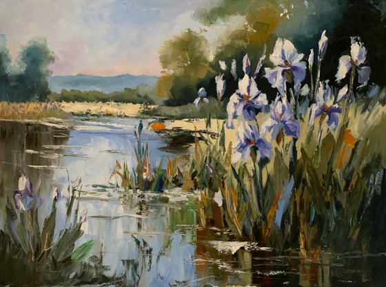 Lakeside Irises dream.