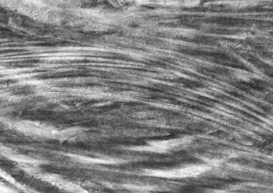 River Flow Patterns