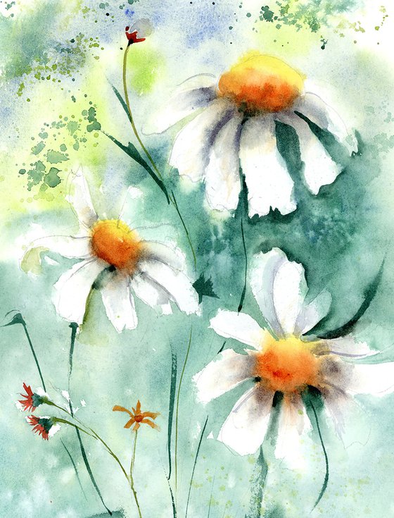 Daisies flowers (2 of 2) - Original Watercolor Painting