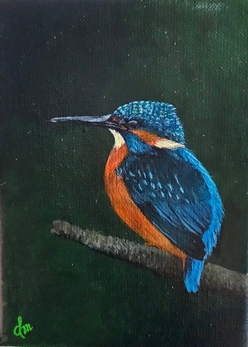 Kingfisher by Denise Martens