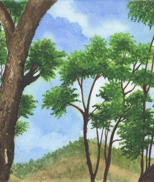 Royal Poincianas in the Mountains by Shweta  Mahajan