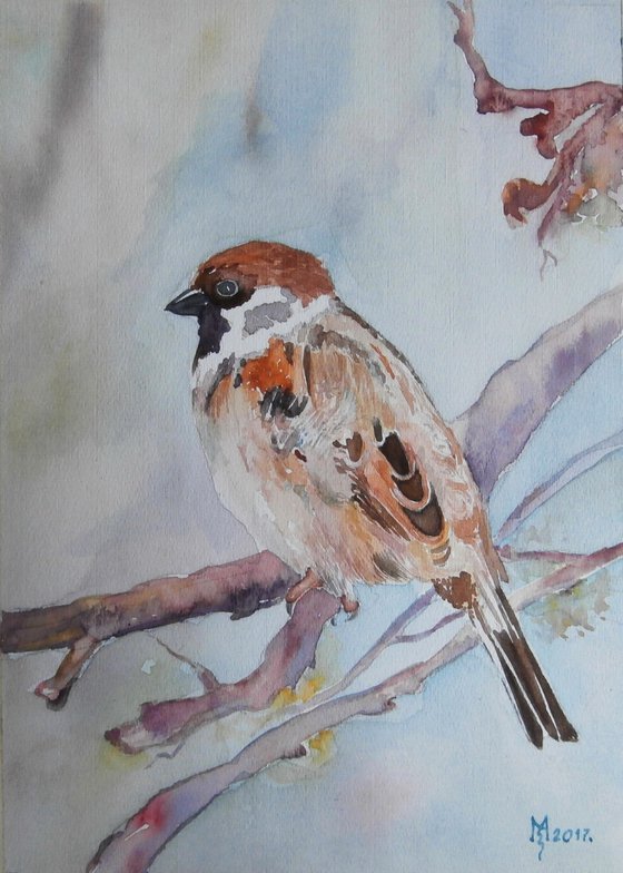 SPARROW  II  / 16 x 23 cm