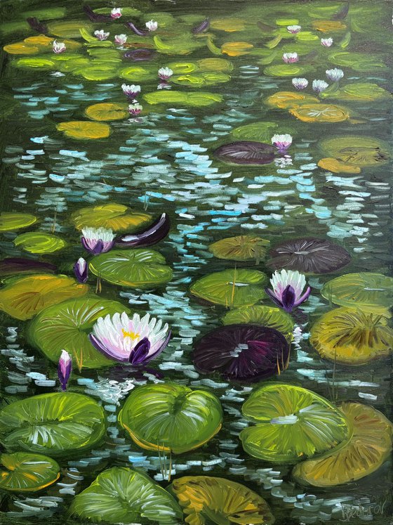 Water Lilies in the Sunlight