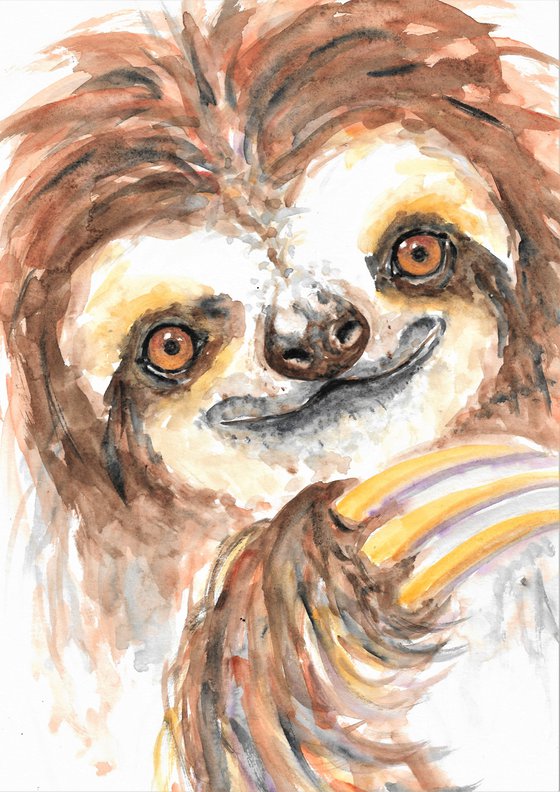 Three toed Sloth portrait