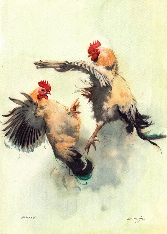 Rooster's battle