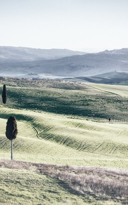 Gladiator's Elysian fields by Karim Carella