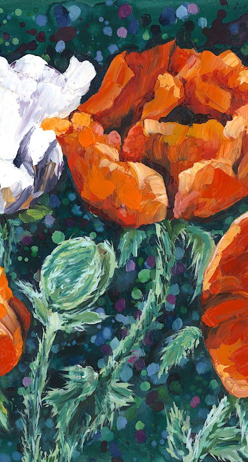 Poppy Dance by Christina M Plichta