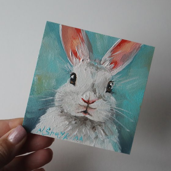 Bunny