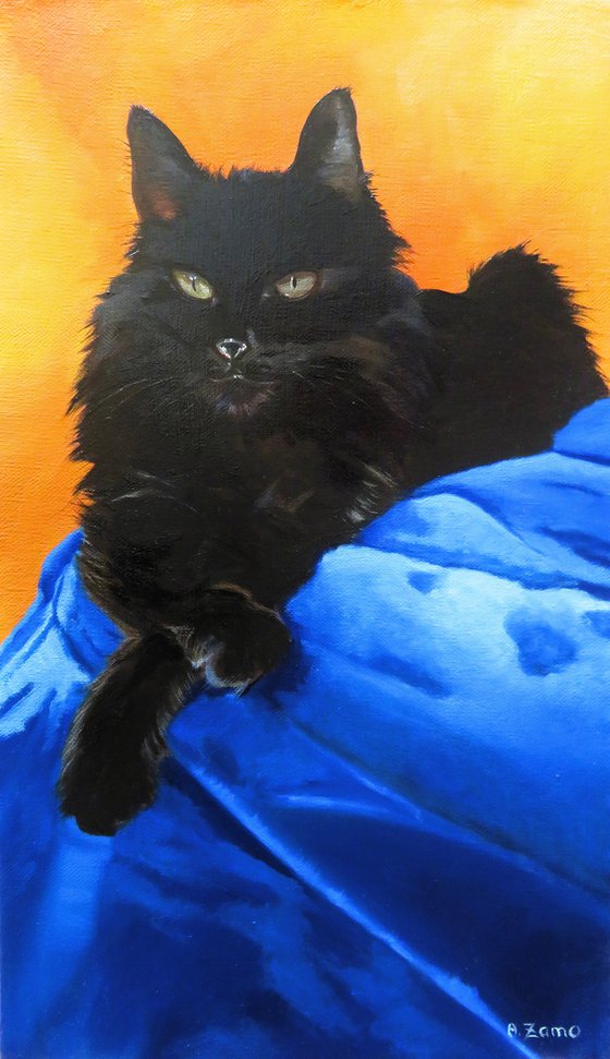 Titou, Portrait of a black cat