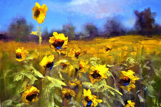 Sunflowers field 3D