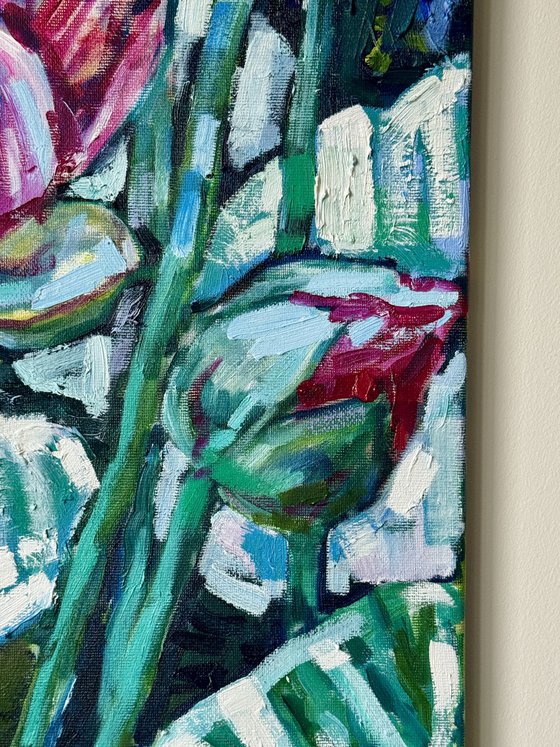 Water lilies