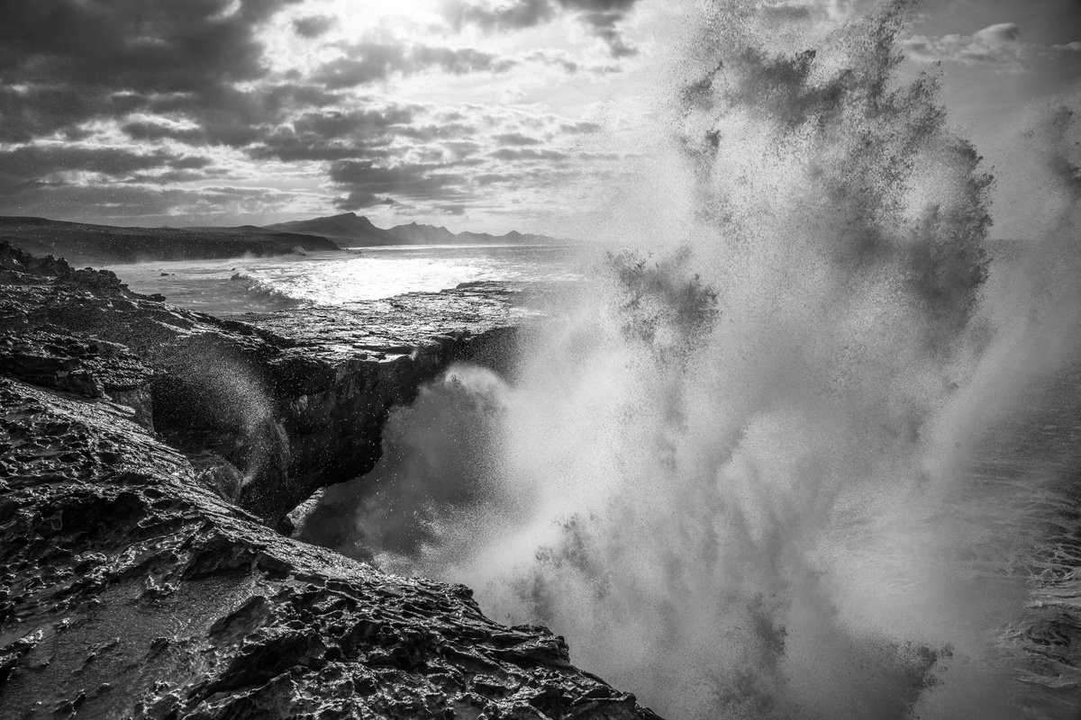 THE WILD COAST 2. by Andrew Lever