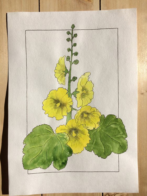 Flowers original watercolor - Yellow mallow illustration - Floral mixed media drawing - Gift idea